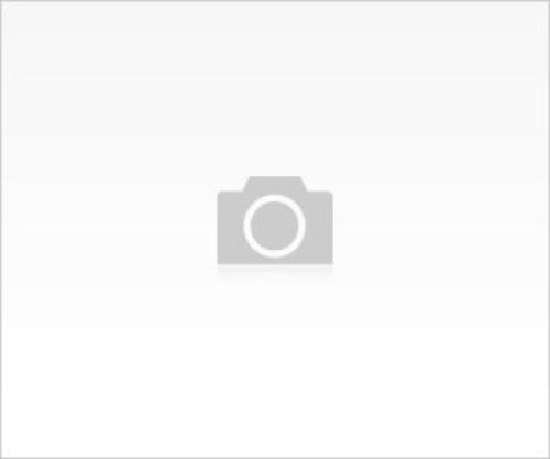 Prof. Dr. Osman İlhan Kimdir?